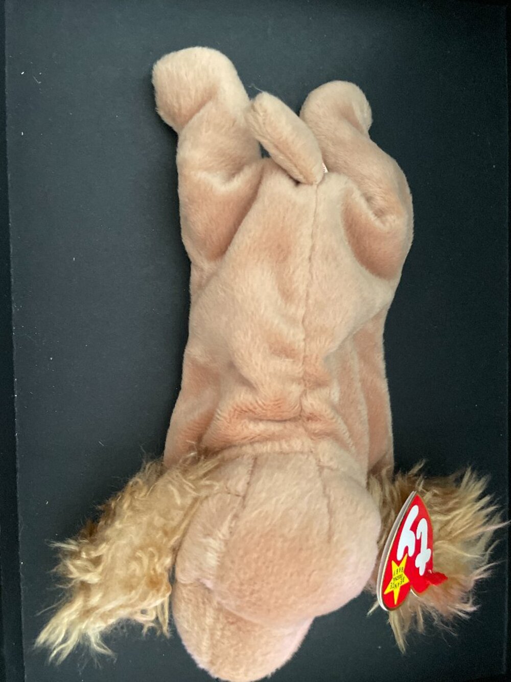 Ty Beanie Baby "Spunky" the Cocker Spaniel plush toy-NWT